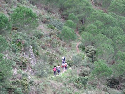 Rutas Senderismo a Puerto Viejo-Tajo El Quejigal